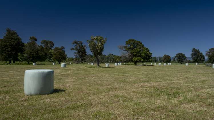 320 Riverside Road Martinborough_18