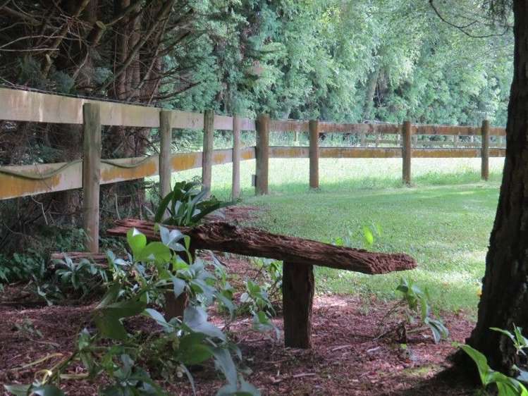 111 Tarr Road Ohaupo_33