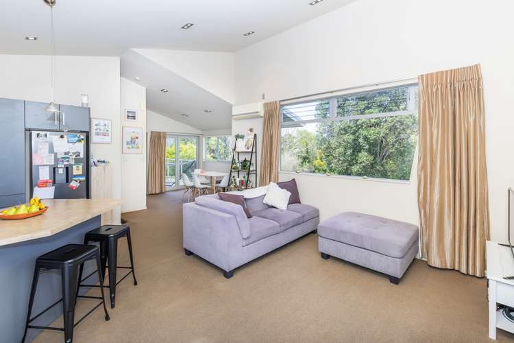 19d Park Terrace Hamilton Central_3