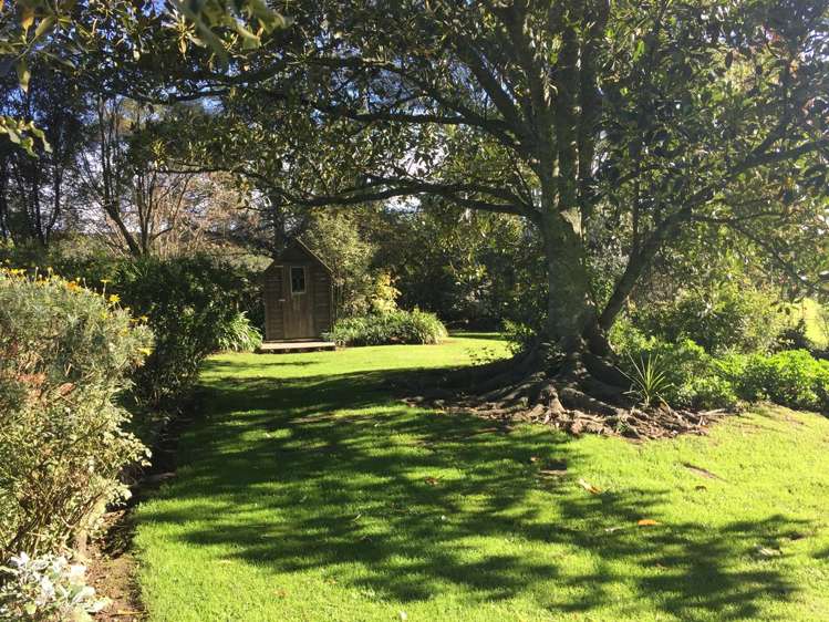 1385 Coatesville-Riverhead Highway Kumeu_12