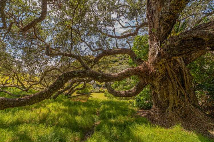 . Sh25 Te Rerenga-Kuaotunu Road Kuaotunu_20