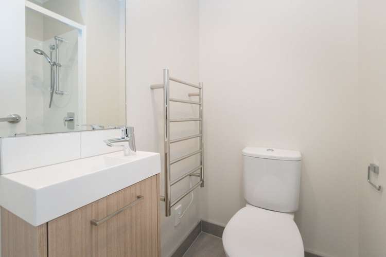 22 Fernly Rise Flat Bush_18