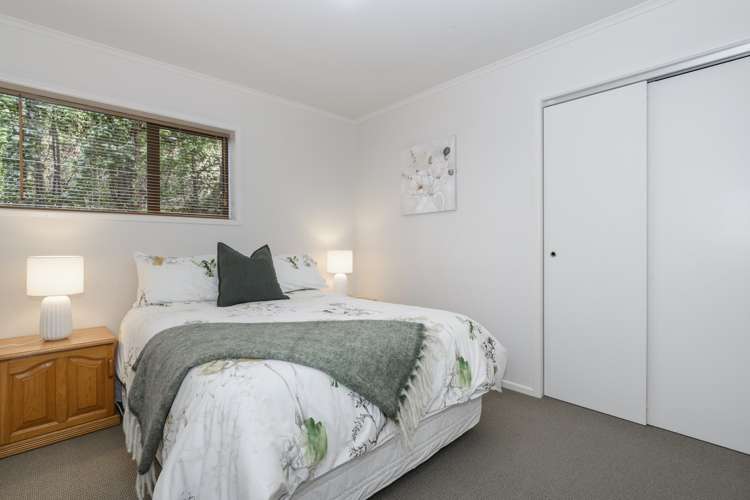 28 Botanical Road Tauranga South_15