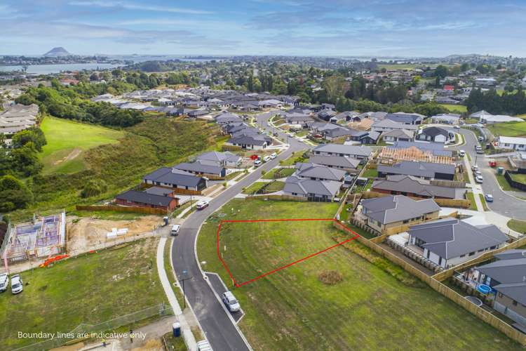 53 Hass Drive Ohauiti_7