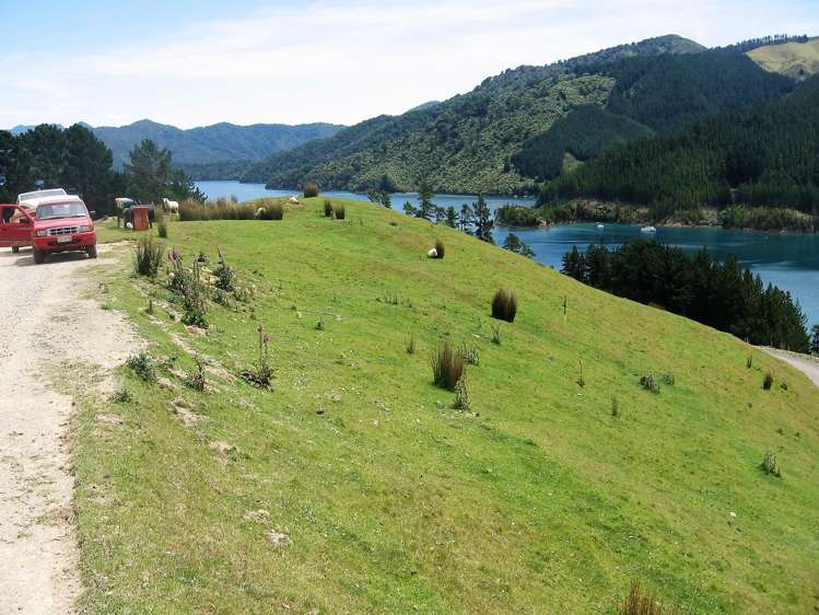 Cissy Bay Road, Cissy Bay French Pass_1