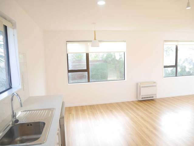 99B Randolph Street Woolston_3