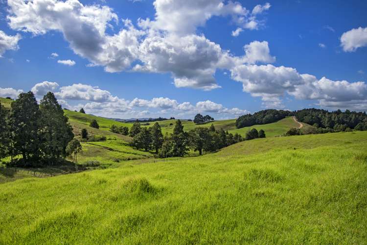 Lot 1 Oetzman Rd Hikurangi Rd2_13