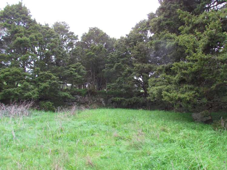 Carruth Road Poroti_6