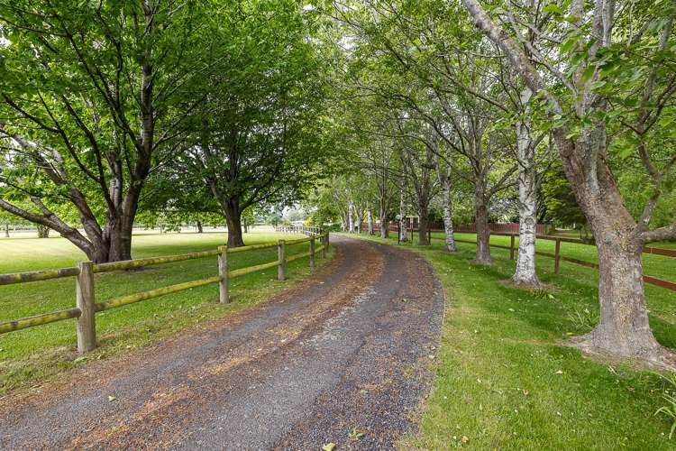 19 Tirohanga Road North Taieri_19