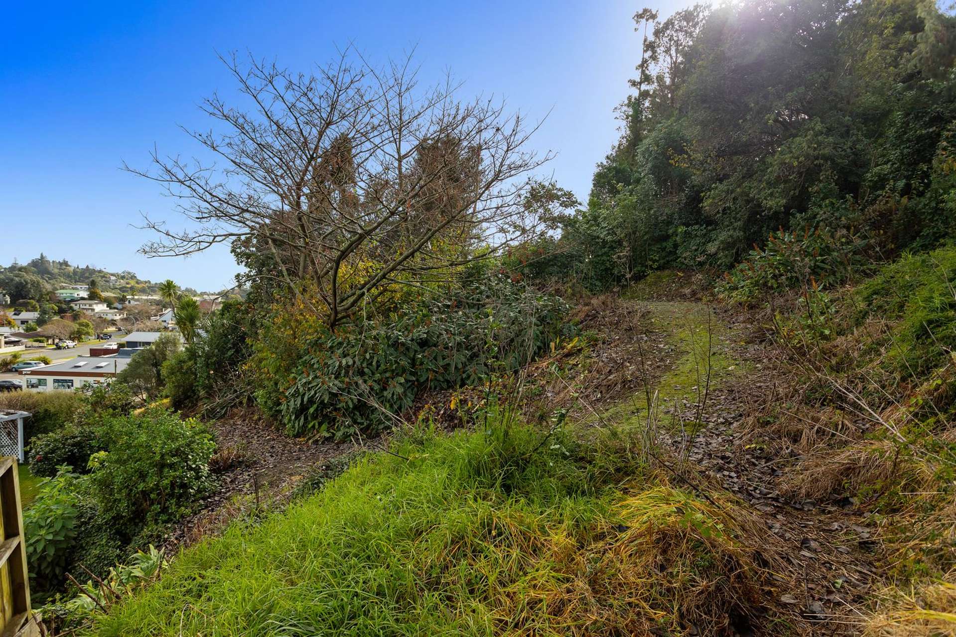 1A Ada Vale Whakatane Whakatāne Houses for Sale One Roof