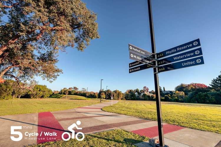 2b Cradock Street Avondale_29