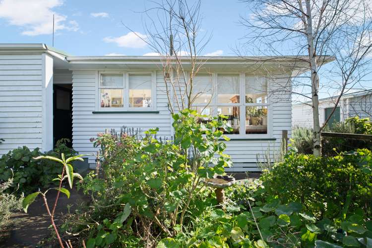 113 Grafton Road Thames_6