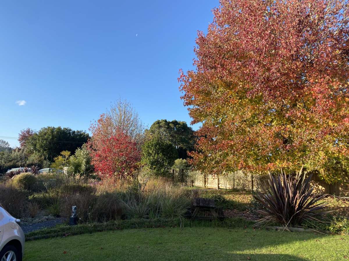 6 Retreat Road_4
