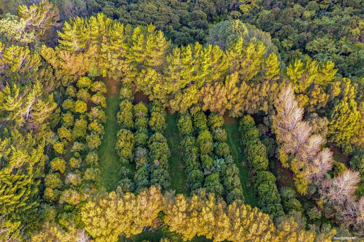 204 Tram Gully Road Manukau Heads_11