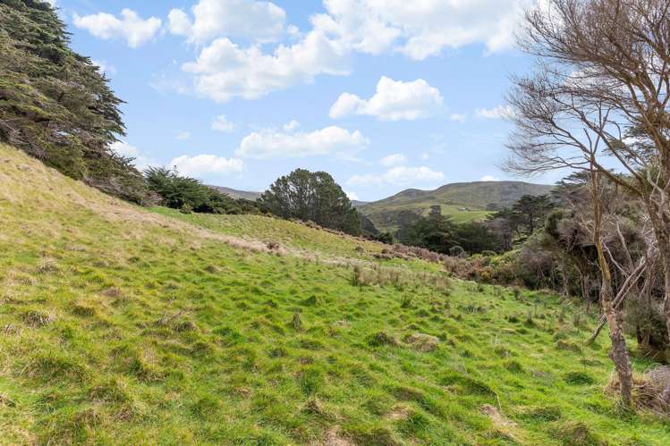 474C Makara Road Makara_12