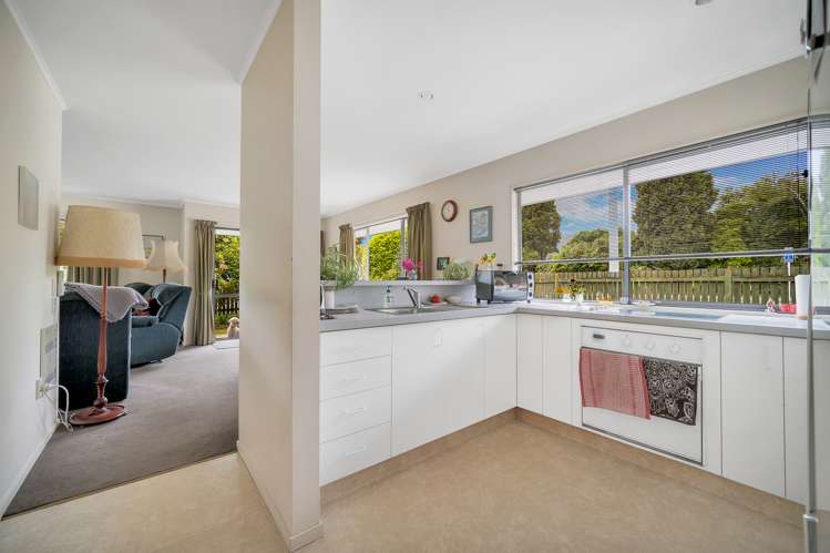 55 Salisbury Road Richmond_4