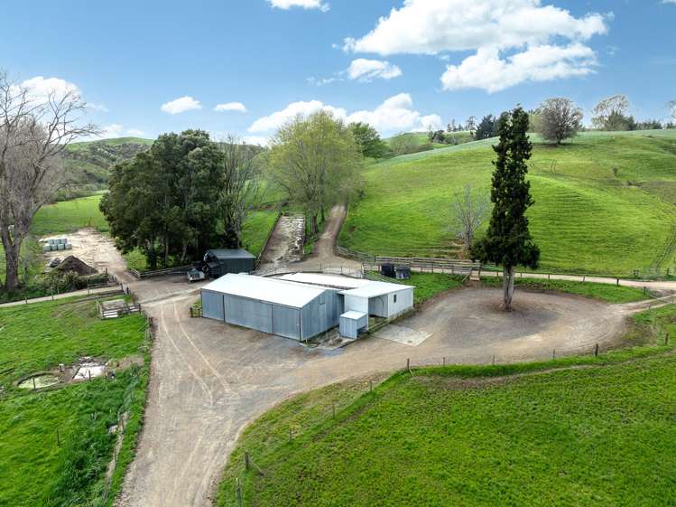 Lot 3/517 State Highway 1 Tirau_5