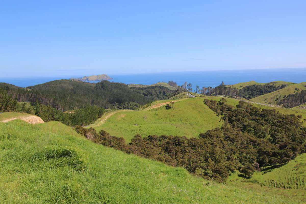 Mahinepua Road_1