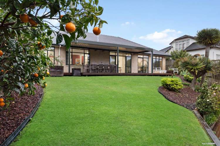 25 Kittiwake Drive Schnapper Rock_20