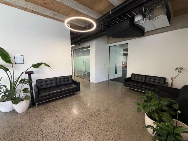 22 Dundonald Street Eden Terrace_4