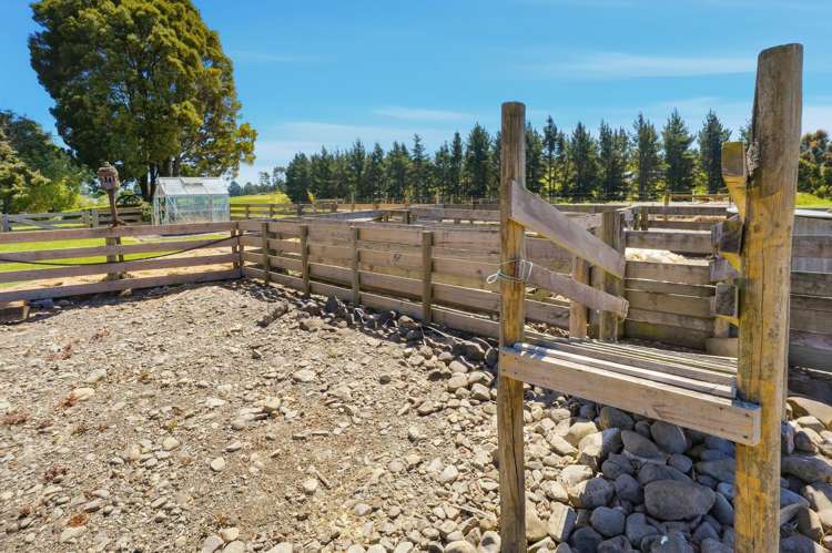 364 Boundary Road Loburn_17