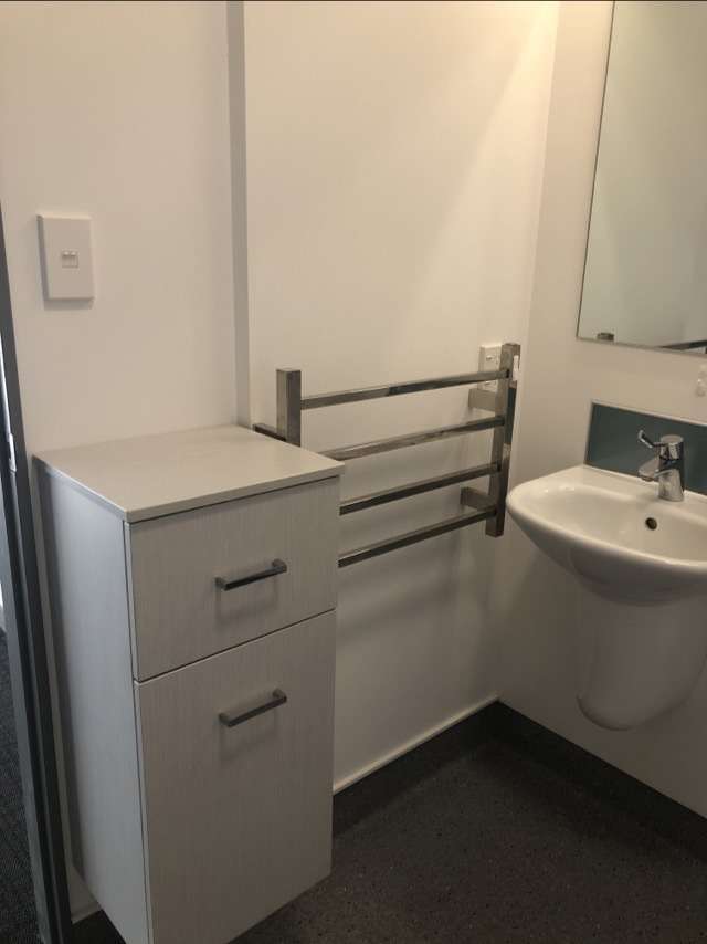 25 Dundonald Street Eden Terrace_2