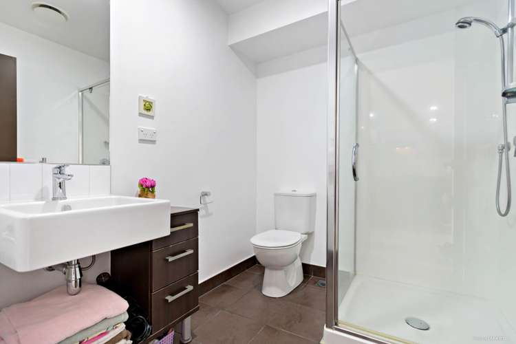 100b Michael Jones Drive Flat Bush_5