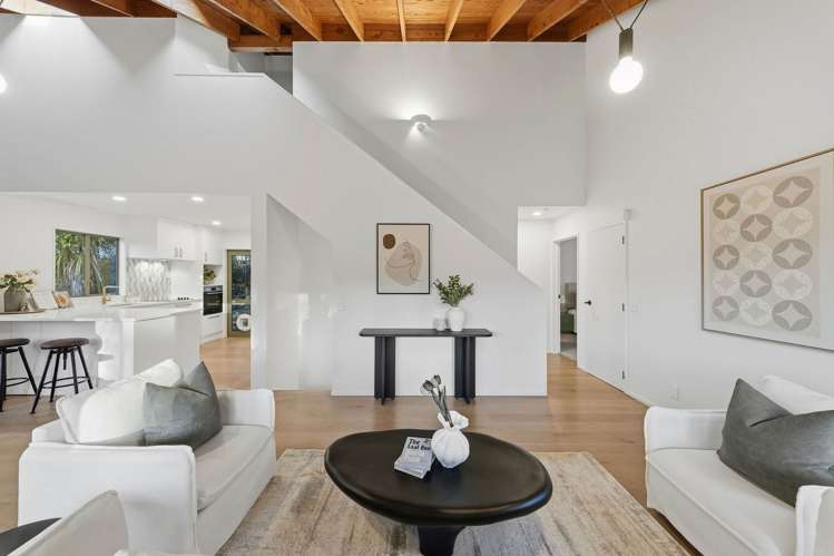6 Tree Fern Trail_5
