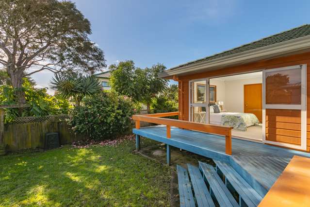 29b Haig Avenue Mount Roskill_2