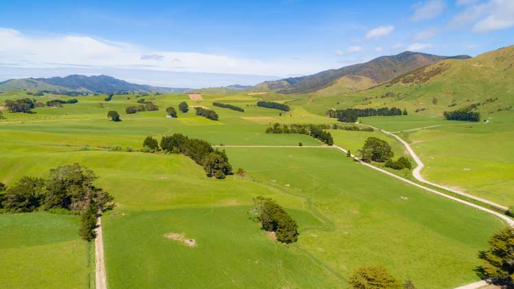 454 Parkville Road Eketahuna_18