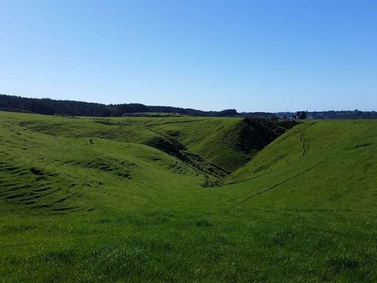 1584a Brunswick Road Kai Iwi_19