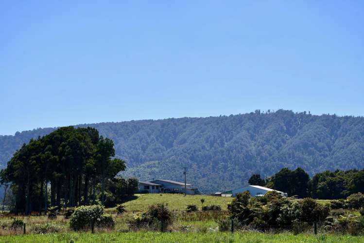 302 Kohaihai Road Karamea_25