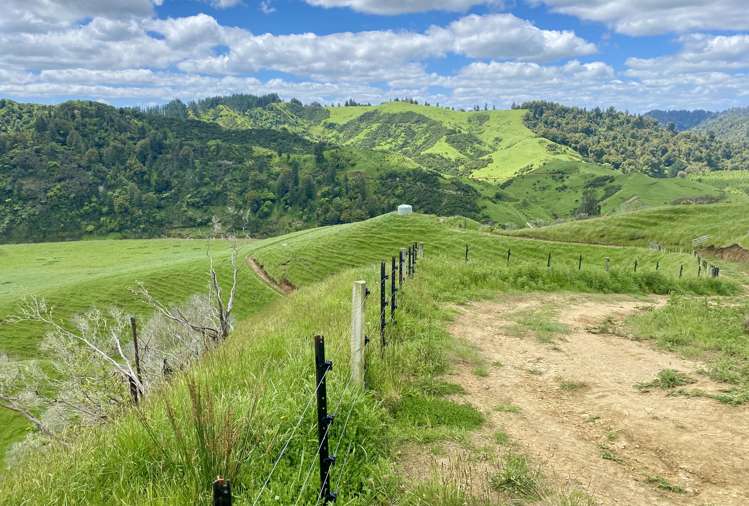 419 Motukawa Road Tarata_16