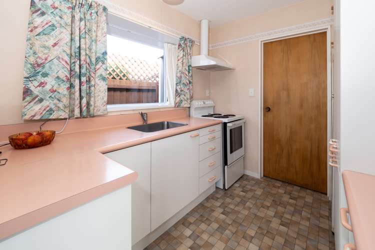 45 Catherine Street Tinwald_10