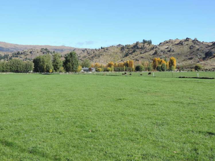 136 Mcintosh Road Alexandra_17