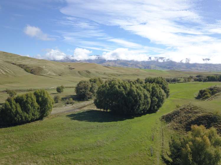 Kinney Road Chatto Creek_14