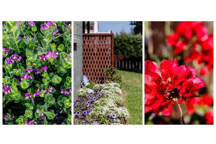 218 Ocean Road Ohope_27