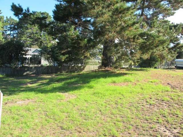 110 Kowhai Avenue Matarangi_1