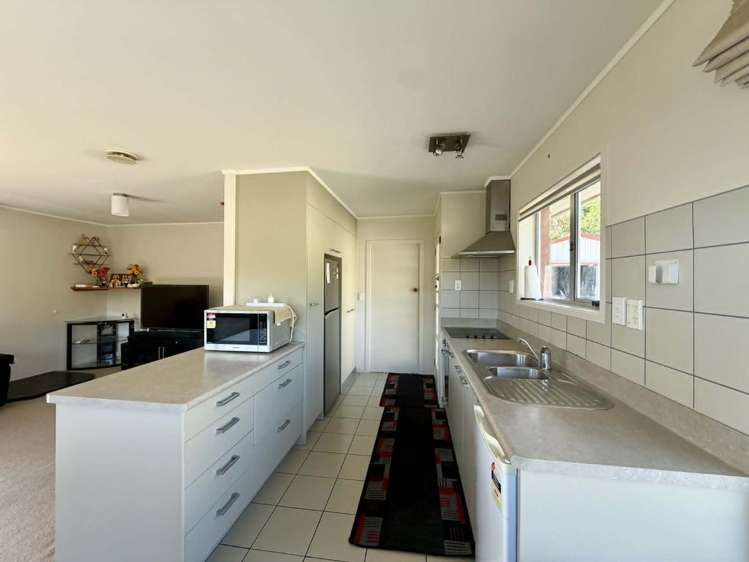 17 Heaphy Street 2169_6