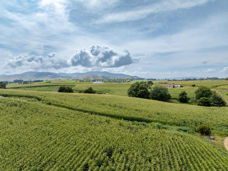 1179 Tahuna Road Ohinewai_15