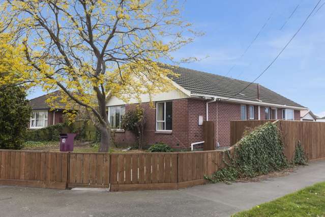 18 Niagara Street Wainoni_1