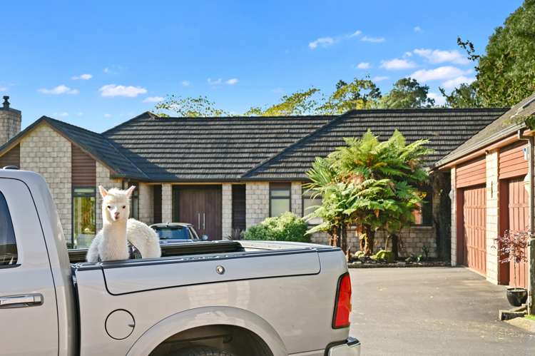 53 Endean Road Ngongotaha Valley_36