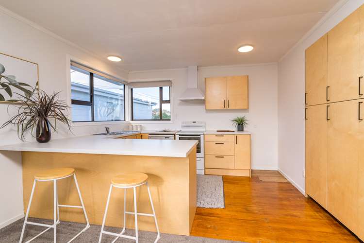 133 Belford Street Waverley_4