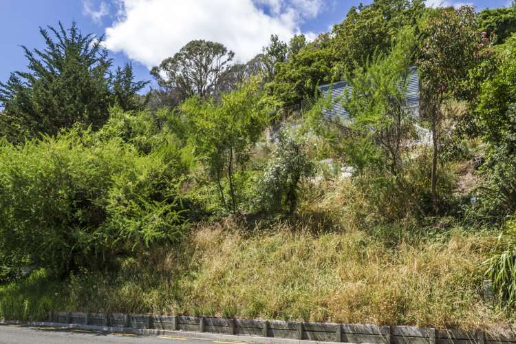 46 Atawhai Drive The Wood_3