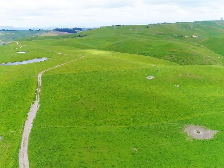 1471 Georgetown-Pukeuri Road Awamoko_13