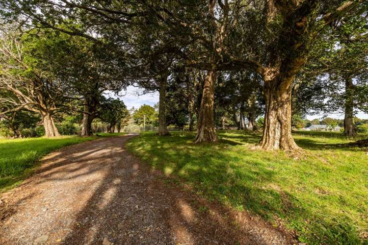 377 Waikaramu Road Waimate North_2