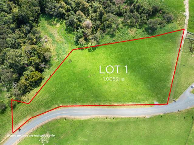 36 Munros Road Clevedon_2