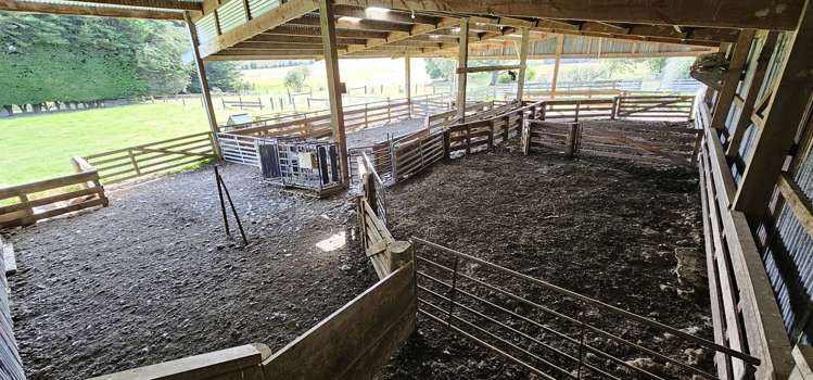 1216 Waimumu Road Waimumu_10