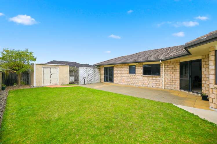 17 Buchanan Street Paeroa_20