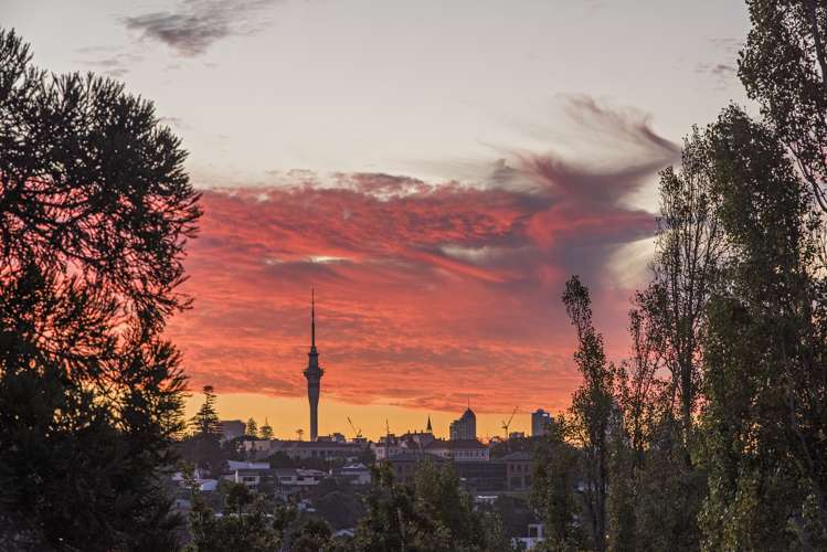 28 Darwin Lane Remuera_16